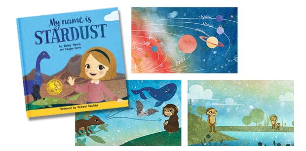 Stardust Book Series